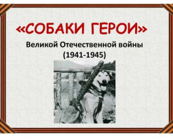 Итоги конкурса профессионального мастерства на лучшую методическую разработку "Подвиги служебных собак в годы ВОВ" Итоги конкурса профессионального мастерства на лучшую методическую разработку "Подвиги служебных собак в годы ВОВ".